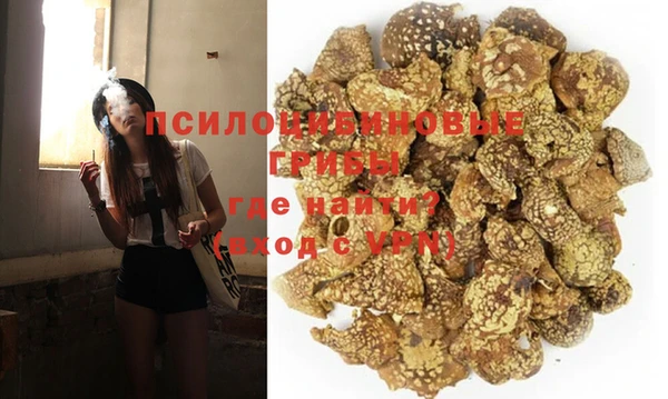 героин Алексин
