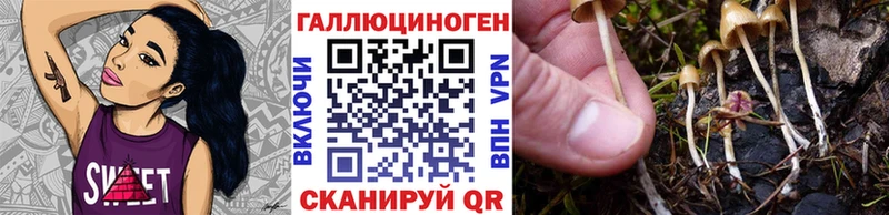 купить цена Юрьев-Польский kraken рабочий сайт Галлюциногенные грибы Magic Shrooms